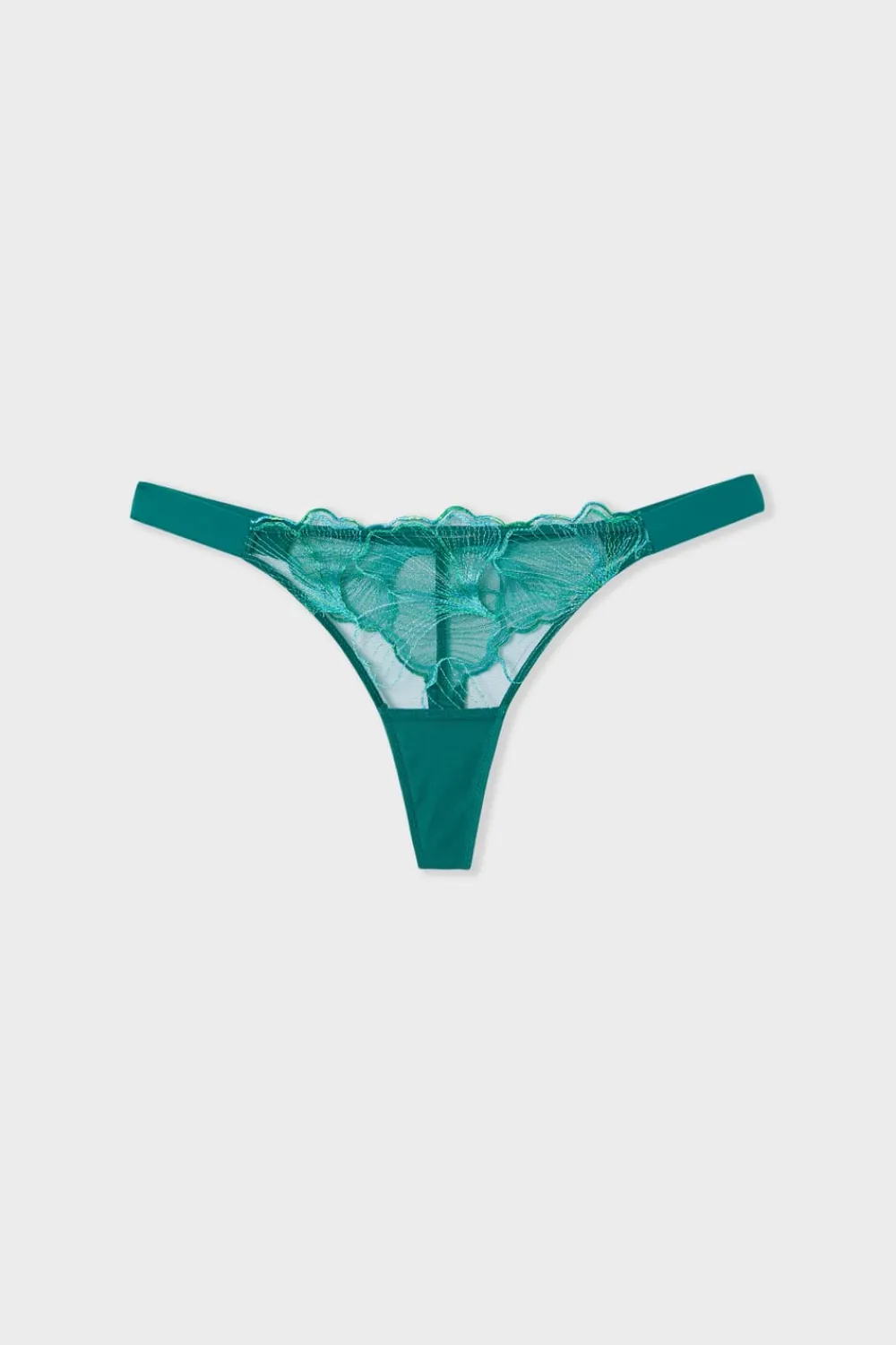 New ETAM Tanga de encaje VERDE OSCURO